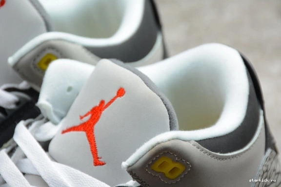 Jordan CT8532-012 (2021) Cool Grey Retro CT8532-012 3 AIR 0106